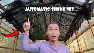 Automatic Shade Net for My Hydroponics