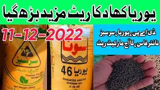 Sona Urea price | urea khad price | d a p fertilizer new rate | sarsabz nitrophas price #urea #khad