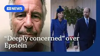 UK's Prince William and Princess Kate 'deeply concerned' by Epstein files | The World | ABC NEWS