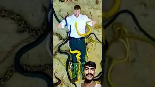 I Survived The 5 Deadliest Places On Earth 😱 part 1  #mrbeast #shorts #mrbeastshorts #mrbeastgaming
