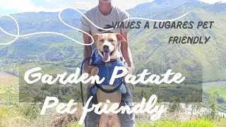 Visiting pet-friendly places in Ecuador: Garden Patate
