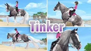 Wundervolle Farbe! 💜 Tinker Pferdekauf SSO