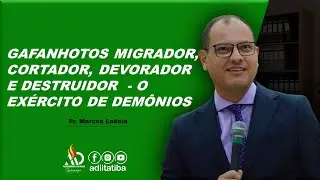 GAFANHOTOS MIGRADOR, CORTADOR, DEVORADOR E DESTRUIDOR  - O EXÉRCITO DE DEMÔNIOS | Pr. Marcos Ladeia