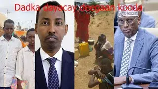 Siyaasi Cabdi Kibriid: Bulshada Habar Idinle dhibaatada heysata waa shaax ay dajiyayeen ganacsato...