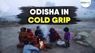 Cold wave tightens grip across Odisha | G Udayagiri records 3.7&deg;C, fog alert in 13 districts