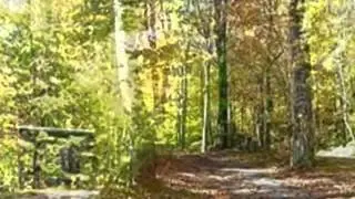 Homes for Sale - TBD Roan Vista Roan Mountain TN 37687 - Glenn Perkins