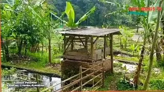 Kampung Sunda Yang Alamnya Bikin Betah Sumber Mata Airnya Melimpah Di Citamba Cigugur Kuningan, KDM