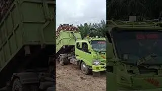 Angkut Bosku!.... #viralvideo #fypシ #perkebunankelapasawit