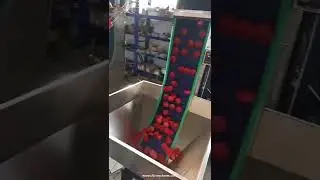 Automatic big size single head wadding lining assembly machine with cap feeding system