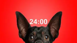 24 Minute Timer for School & Homework  Dog Bark Alarm Sound  Improve Focus & Productivity