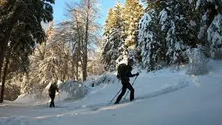salita invernale al Monte Dauda da Fielis (Ud) - 8/1/2022