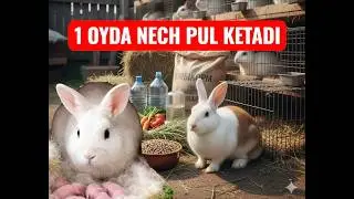 QUYON BOQISH SIRLARI 1-KUNLIK XARAJATLAR  1-TA QUYON  UCHUN #samarqand