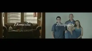 Domestic Tranquility