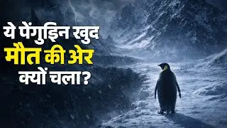 19 साल बाद ये Penguin वीडियो क्यों Viral हुआ? | The Mystery of Nihilist Penguin