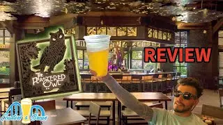 Обзор бара Plastered Owl в Epic Universe