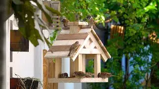 DIY Wooden Bird Feeder - Amazing DIY Woodworking Projects