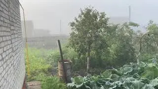 Деревенский туризм в Загарино: Вот такое утро туманное с утра/30.07.21