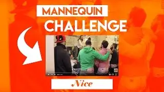 IAE Nice - Mannequin challenge [Concours]