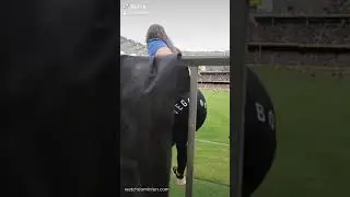 VEGAN RUNS ONTO FOOTBALL FIELD