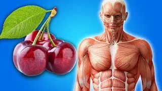 8 Reasons Why You Need To Start Eating Cherries Today