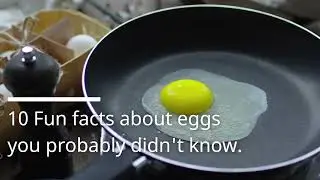 10 Fun Facts about eggs you probably didnt know.