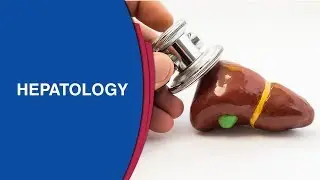 Liver Disease and Its Diagnosis | Best Liver Transplant Hospital in Bangalore | Manipal Hospital