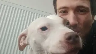 Yapping time with my dog storm!