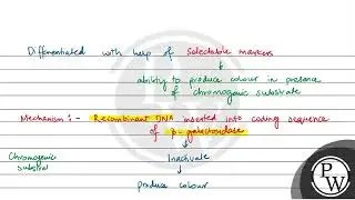 Insertional activation is also a technique by which selection of recombinants can be done. In th....