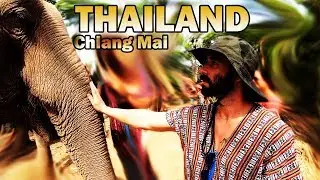 Thailand: Chiang Mai - Elephant Sanctuary's (Our experience)