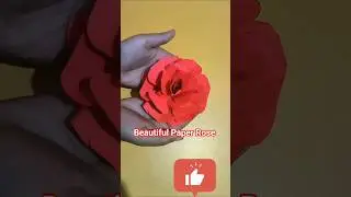 Beautiful Paper Rose | Wall Decor | Easy Paper Flower #shorts #viral
