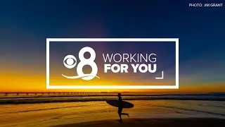 Working For You | Stories from the San Diego community (Oct 24)