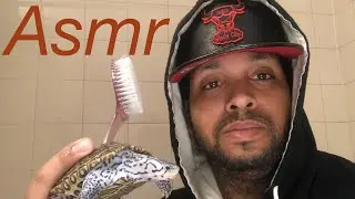 (ASMR) Brushing sounds spraying sounds cleaning turtle shell