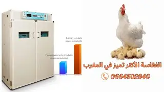 الفقاصة الاكثر تميز والأسهل في الاستخدام 528 و 1056 بيضة