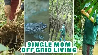 Single mother and child off grid living in the forest | Single Mother's Life