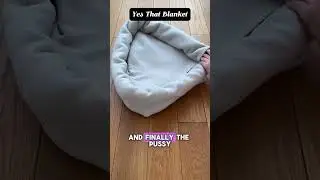 DIY Pet Bed: Create a Cozy Spot for Your Furry Friend with YesThatBlanket! #yesthatblanket #diy