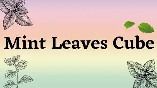 Mint Leaves Cube recipe #viarl #trending #summerhack #drink #mint #cube #mintleaves #summerdrinkhack