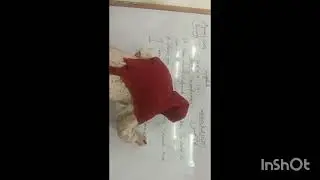 ENGLISH CLASS 7 (UNIT 18)