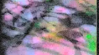 Patrick Baele - MOVING COLOURFIELD YT 19  - sound:Jan Marmenout