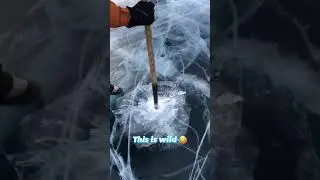 Wild 😳