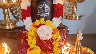 നാരായണത്ത് കാവ് മഹാവിഷ്ണു, ശിവ ക്ഷേത്രം  is live!