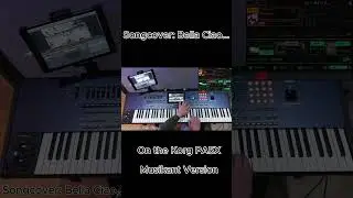 Bella Ciao &ndash; Korg PA5X Power!  #korgpa5x #korgpa5xmusikant #bellaciao #coversong #vvsoundstudio