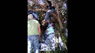 How to install yoga hammock in the trees