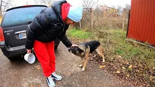 Homeless Dog Feels Love the First Time. She didn't want to leave me