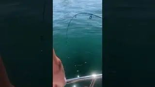 Fishing  Lake White fish on Banks Lake WA July 2022 Kingfisher Canadian Boat