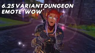 FFXIV: Variant Dungeon Emote 'Wow'