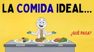 ¿QUÉ COMIDA COMER DURANTE UN DÍA?