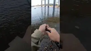 Haha. As a fishing beginner  must try more time.  #fishingbeginner #fishingguides #fishingvideo