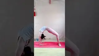 EASY Yoga for Beginners - Practical Yoga Poses at Home #97