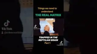 The Reptilian Brain Explained #matrix