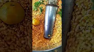 Animal Feed Grinder, Corn, Maize, Grain grinding machine for poultry feed
